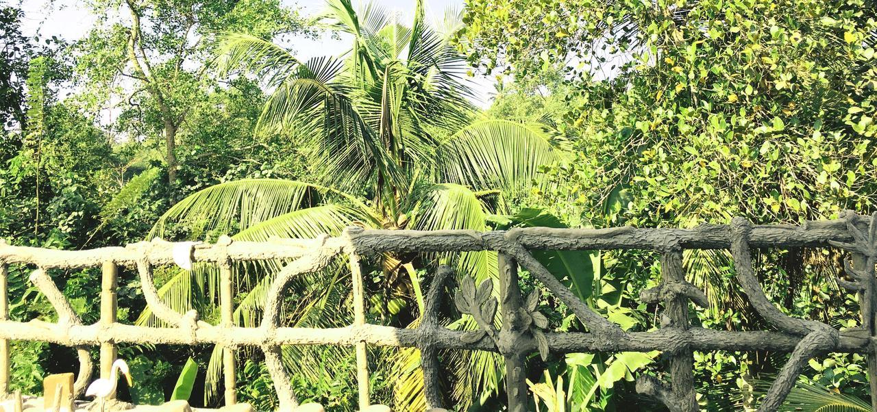 Galle Paradise Inn エクステリア 写真