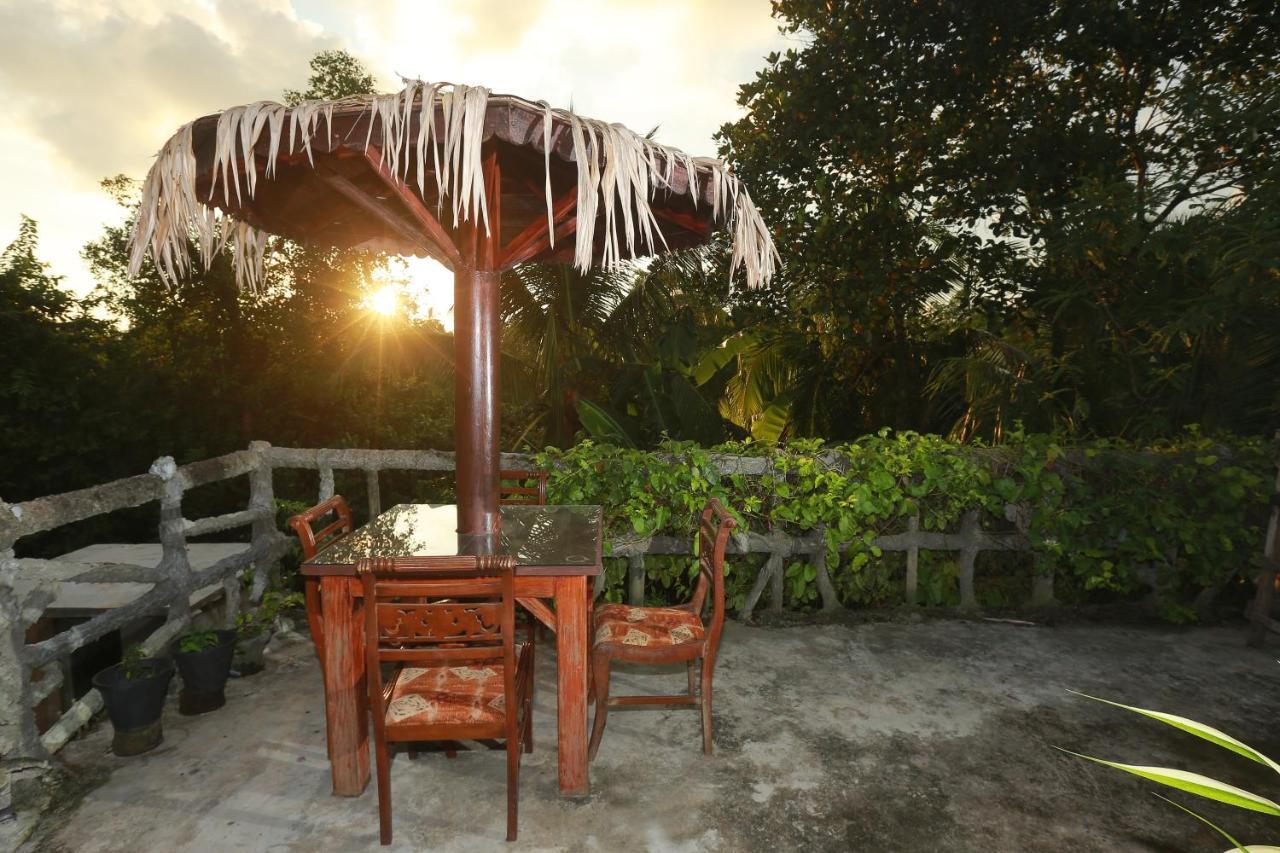 Galle Paradise Inn エクステリア 写真